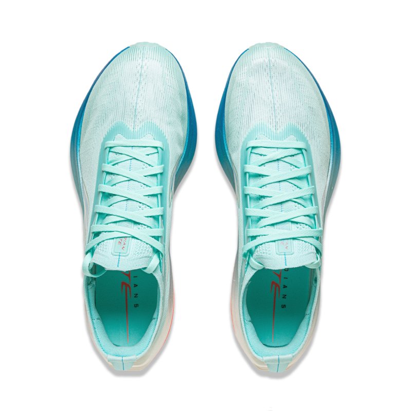 MEN'S Running Shoes - Feidian 5 Elite Blue