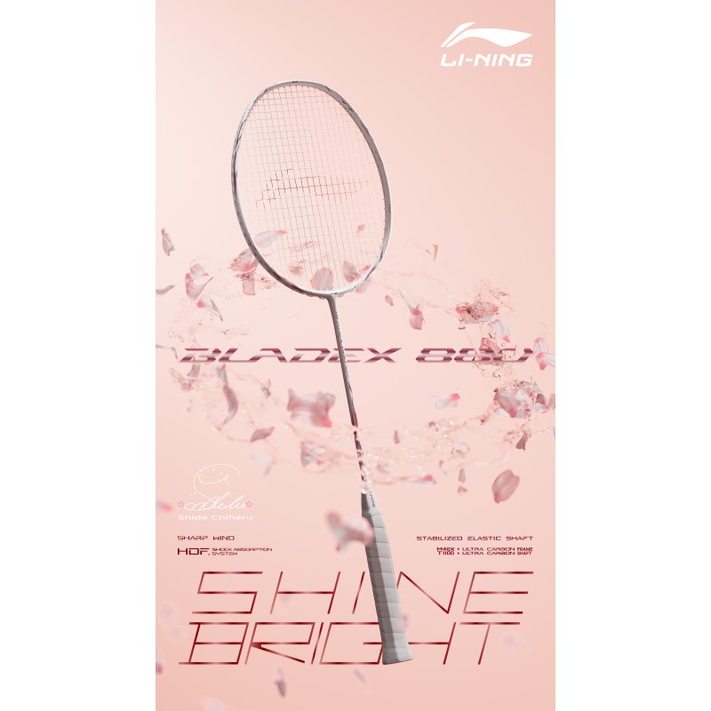 Badmintonracket - Bladex 800 Speciel Edit. Shida